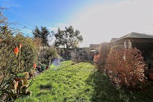 Garden- click for photo gallery